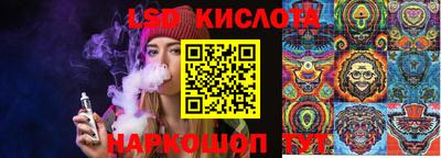 ГАЛЛЮЦИНОГЕННЫЕ ГРИБЫ Заволжье