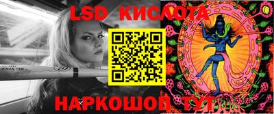 ГАЛЛЮЦИНОГЕННЫЕ ГРИБЫ Заволжье